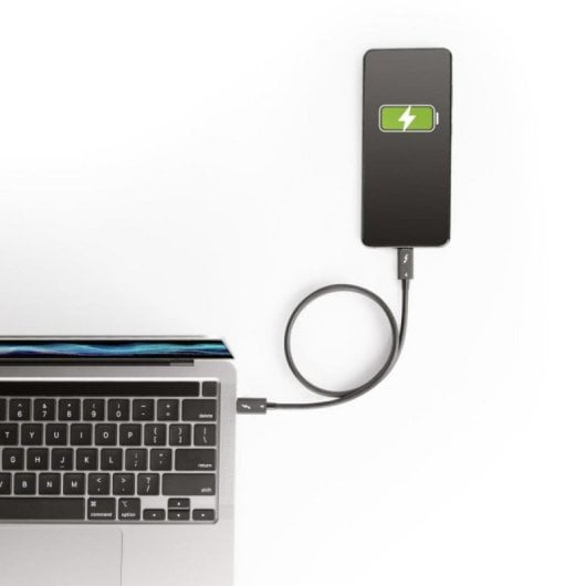 Câble Thunderbolt 4 StarTech 0,5m 40Gbps PD 100W Vidéo 8K