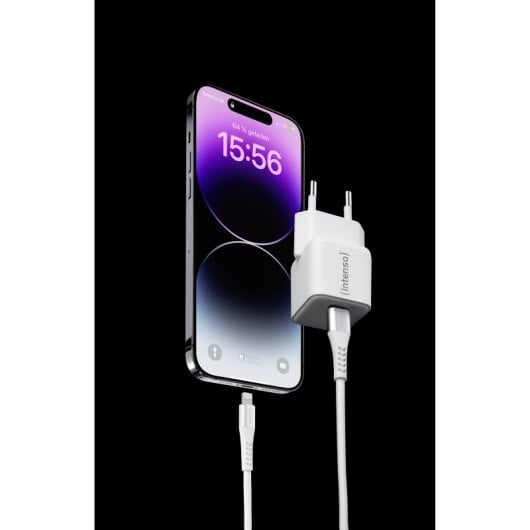 Intenso 7803052 Universal-Ladegerät für Mobilgeräte, weiß, Wechselstrom, schnelles Laden, für den Innenbereich