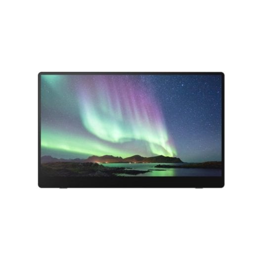 Monitor Portable RICOH 150BW 15,6" OLED 1920x1080 Incurvé Wi-Fi sans fil
