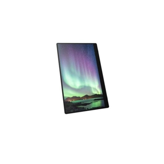 Monitor Portable RICOH 150BW 15,6" OLED 1920x1080 Incurvé Wi-Fi sans fil