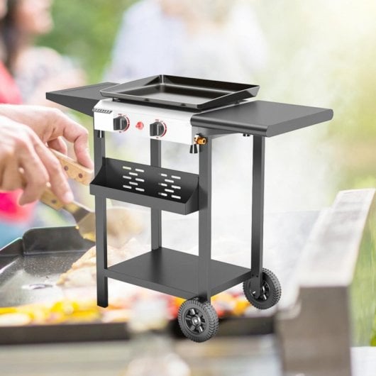 Gasgrill Vitrokitchen PG220IB Edelstahl 2 Brenner 5000W Gasgrill Vitrokitchen PG220IB Edelstahl 2 Brenner 5000W