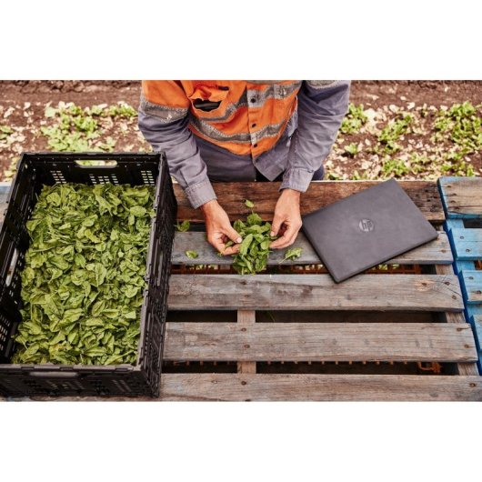 HP ProBook Fortis 14 G9 14" Intel Pentium Silver N6000 4GB 128GB SSD Windows 11 Pro Negro Teclado Francés