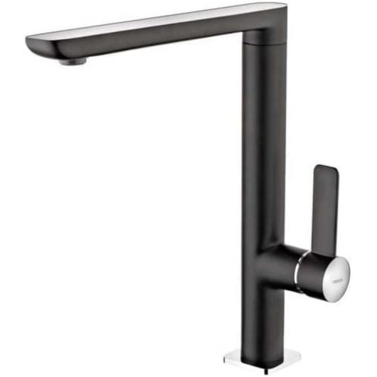 Robinet Teka FO 915 NC Acier inoxydable Noir avec Bec Pivotant