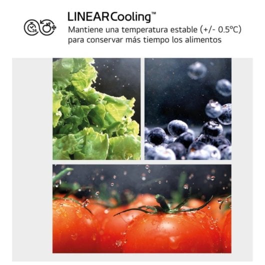 Frigorífico LG Combi 186cm 277L D Blanco Smart Inverter Linear Cooling Multi Air Flow LED