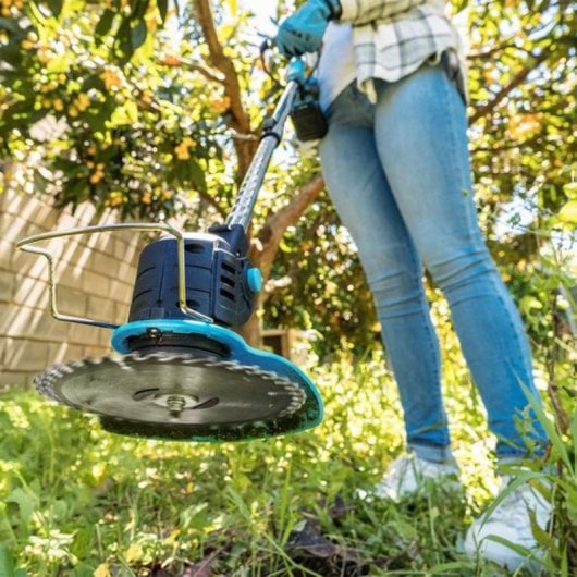 Cortabordi Cecotec FastCut 3000 Freemove 21V 650W Batteria Rimovibile Nero Blu Grigio