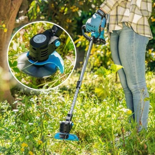 Cortabordi Cecotec FastCut 3000 Freemove 21V 650W Batteria Rimovibile Nero Blu Grigio