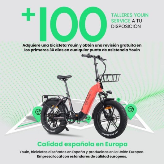 Bicicleta Eléctrica YOUIN Luxor BK1716 Fat 250W 20'' Plegable Suspensión Pantalla Color