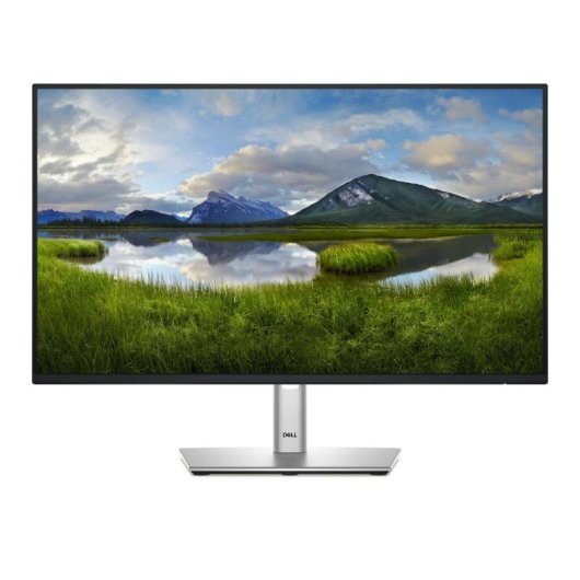 Dell P2425HE Monitor 23.8" FullHD 100Hz IPS USB-C VESA Altura Ajustável