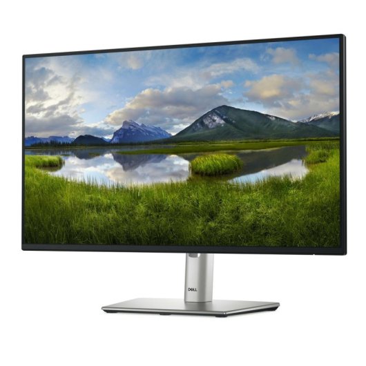 Dell P2425HE Monitor 23.8" FullHD 100Hz IPS USB-C VESA Altura Ajustável