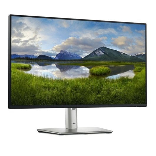 Dell P2425HE Monitor 23.8" FullHD 100Hz IPS USB-C VESA Altura Ajustável