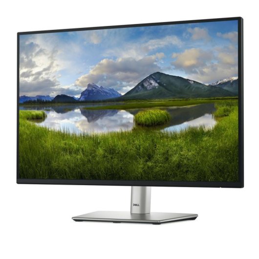 Dell P2425 24.1" WUXGA 100Hz IPS Flicker Free Ajuste Altura USB-C HDMI DP VESA