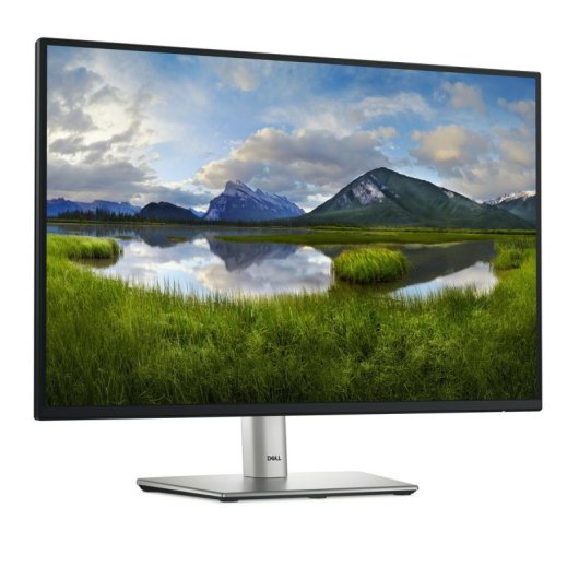 Dell P2425 24.1" WUXGA 100Hz IPS Flicker Free Ajuste Altura USB-C HDMI DP VESA