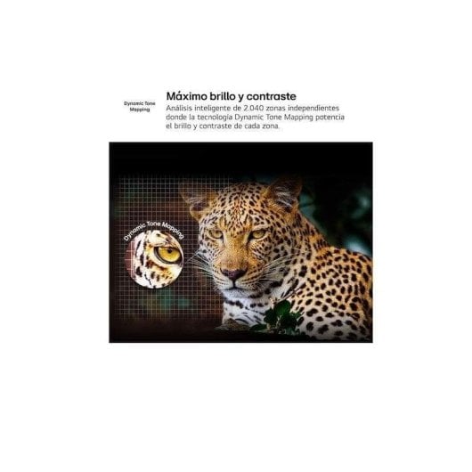 TV LG QNED 55QNED80A6A 55" 4K UltraHD 60Hz Smart TV WebOS HDR10 Local Dimming