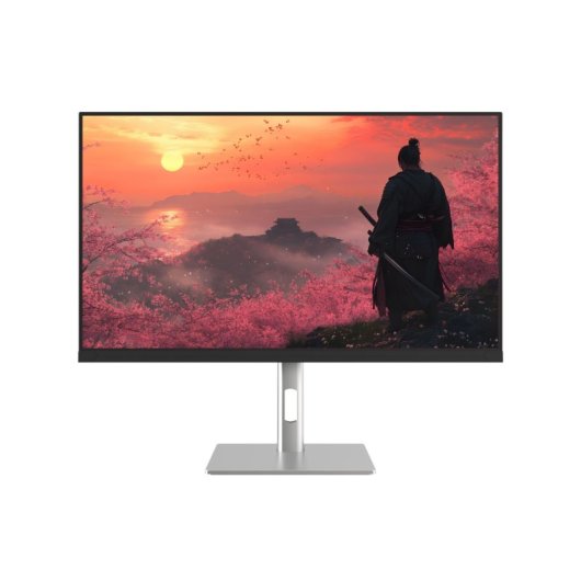 Monitor JAPANNEXT 27" WQHD 2560x1440 300Hz IPS 1ms HDR FreeSync G-Sync
