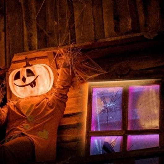 Bande LED TP-Link Tapo L920-5 5m Multicolore Wi-Fi Découpable