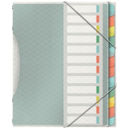 Esselte Colour'Breeze Trennblätter A4 12 Tabs Mehrfarbig Polypropylen 266x320mm