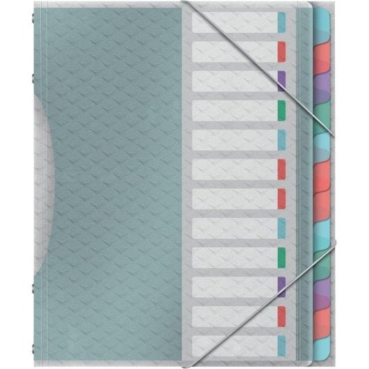 Esselte Colour'Breeze Trennblätter A4 12 Tabs Mehrfarbig Polypropylen 266x320mm
