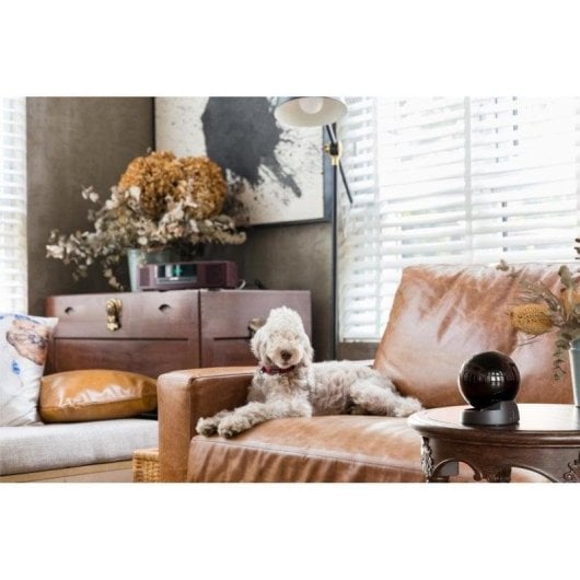 Videocamere di sorveglianza Imou Rex 3D 2K Visione Notturna Interna Rilevamento IA Audio Bidirezionale