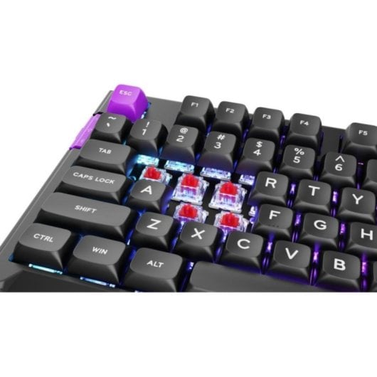 Teclado mecánico PREYON Silent Claw TKL Layout ES pantalla inteligente RGB triple conexión