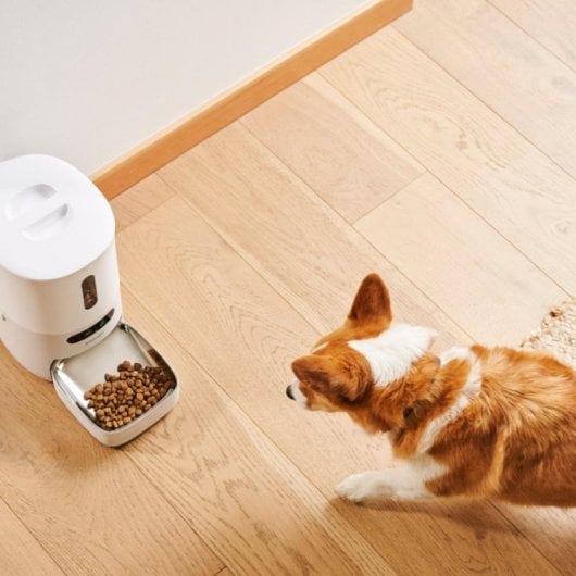 Alimentador Automático Inteligente Pawsync com Balança, Dupla Fonte de Alimentação e App Móvel