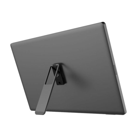 Monitor MSI PRO MP161DE E2 15,6" Full HD 60Hz IPS LED USB-C Schwarz mit Lautsprechern