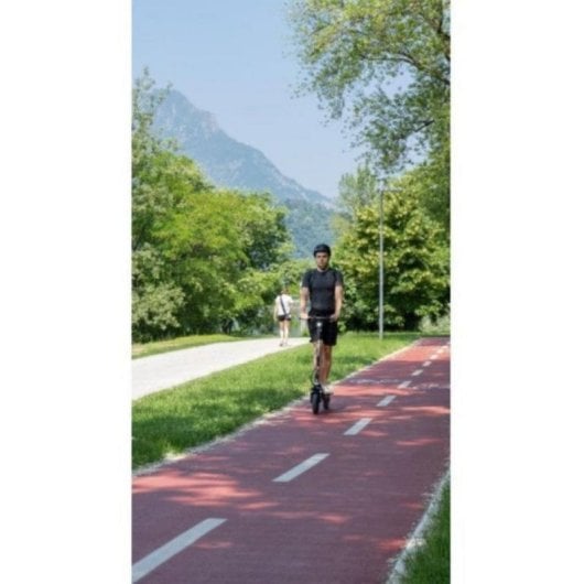 Elektroroller GORIDE 80 PRO 25 km/h 25 km Reichweite 350W mit LED-Display und pannensicheren Reifen