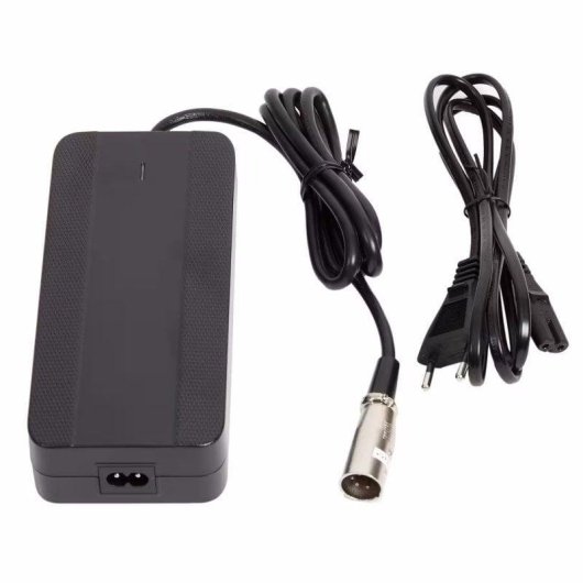 Caricatore Bici Elettrica Giant Entour E+ 0 RT GTS-WOB 2A F10mobility