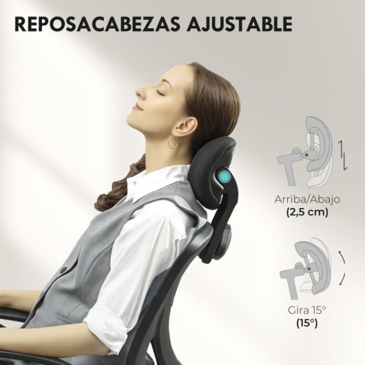 Vinsetto Silla De Oficina Con Altura Ajustable Respaldo Reclinable Gris Oscuro