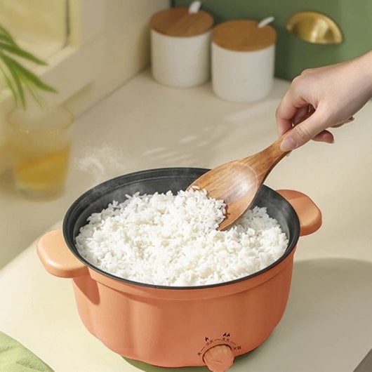 Multifunktionaler elektrischer Dampfgarer. Drei Temperatureinstellungen, 2,5 l Doppelebene. Eintopf, Pfannenrühren, Dämpfen usw.