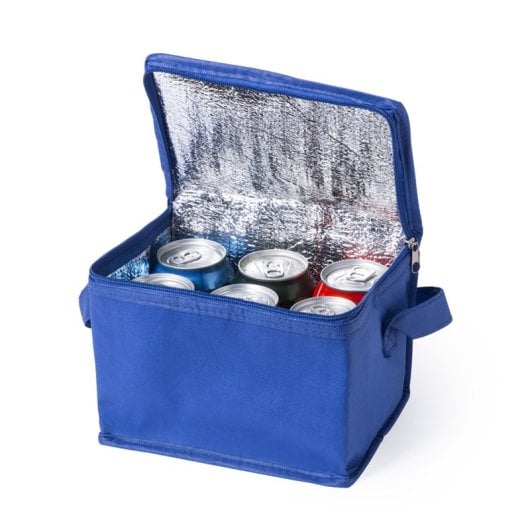 Frigorifero portatile Hertum per 6 lattine, con interno isolato e finitura in alluminio.