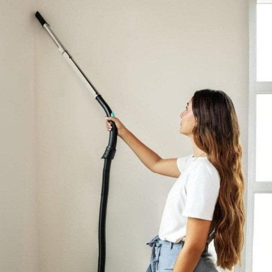 Aspirateur avec Sac Cecotec Conga Powerbag 2000 Compact Plus 800W Anti-allergies 2L