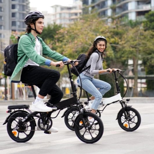 E-Bike isinwheel U3 Faltbar 250 W Motor, 55 km Reichweite, LCD, Hydraulikbremsen