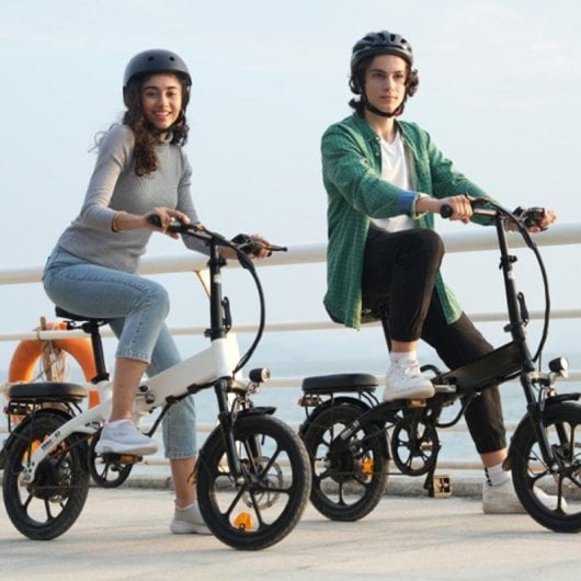 E-Bike isinwheel U3 Faltbar 250 W Motor, 55 km Reichweite, LCD, Hydraulikbremsen