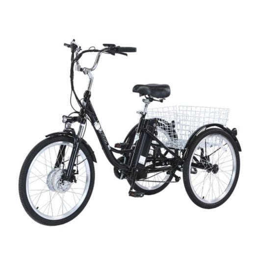 Vélo cargo électrique GOGOBEST GF100 350W 36V 20Ah LCD Aluminium IPX5