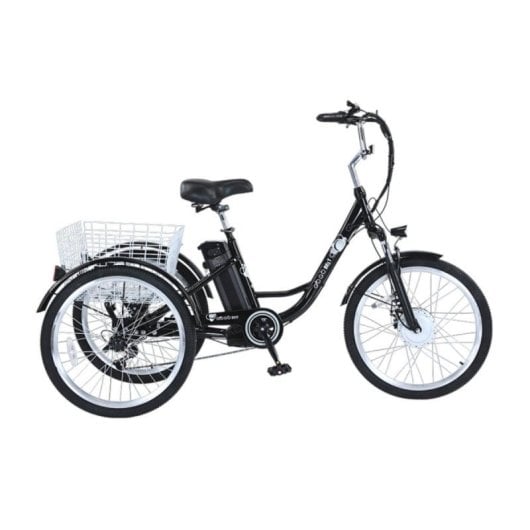 Vélo cargo électrique GOGOBEST GF100 350W 36V 20Ah LCD Aluminium IPX5