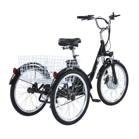Vélo cargo électrique GOGOBEST GF100 350W 36V 20Ah LCD Aluminium IPX5