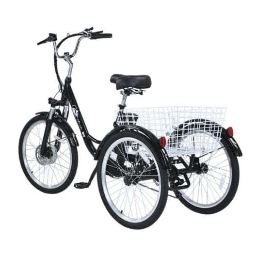 Vélo cargo électrique GOGOBEST GF100 350W 36V 20Ah LCD Aluminium IPX5