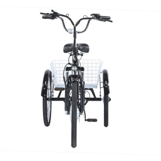 Vélo cargo électrique GOGOBEST GF100 350W 36V 20Ah LCD Aluminium IPX5