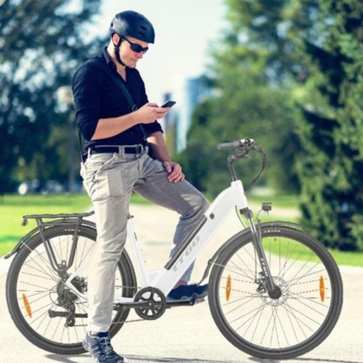 Elektrofahrrad TTGO HZ-28ST Aluminiumrahmen 250 W Motor 36 V 20 Ah LCD Shimano 7-Gang