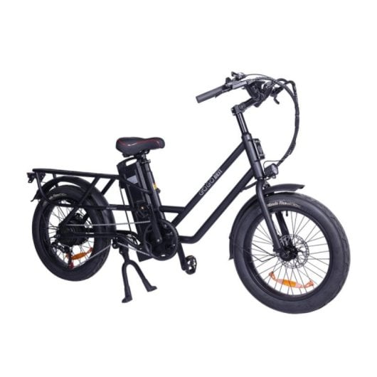 Vélo électrique GOGOBEST GF200 500W 48V 15,6Ah 20x3.0 pneus Shimano 7 vitesses LCD
