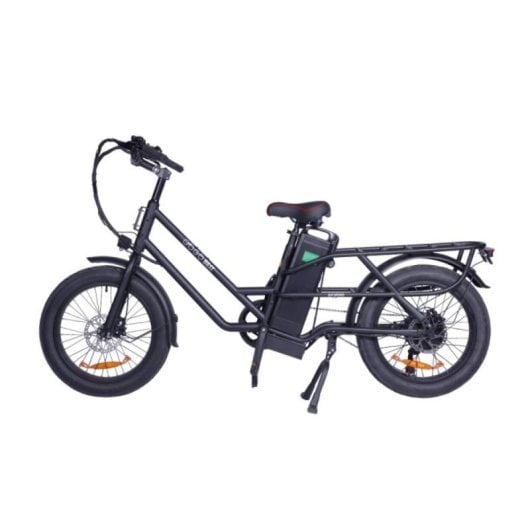 Vélo électrique GOGOBEST GF200 500W 48V 15,6Ah 20x3.0 pneus Shimano 7 vitesses LCD