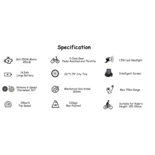 Elektrofahrrad TTGO YY-26ST 250 W 36 V 14,5 Ah 26 Zoll Shimano 6 Gang LED Schwarz