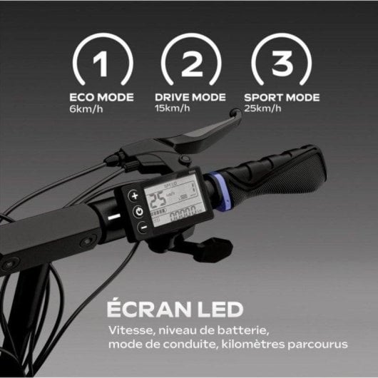 Monopattino elettrico UrbanGlide 800W Autonomia 40km Sospensioni doppie Ruote 10" LED