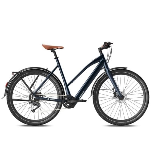 Bicicletta elettrica Fafrees F700W motore 250 W batteria 36 V 10 Ah freni idraulici