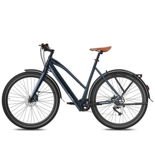 Bicicletta elettrica Fafrees F700W motore 250 W batteria 36 V 10 Ah freni idraulici
