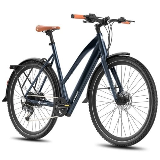 Bicicletta elettrica Fafrees F700W motore 250 W batteria 36 V 10 Ah freni idraulici