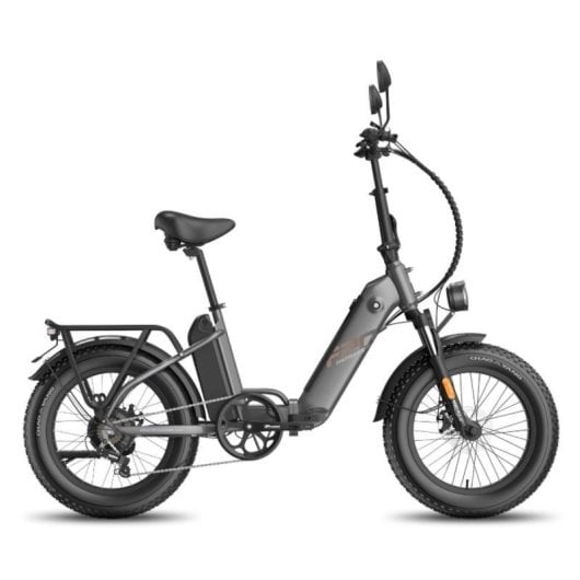 Bicicletta elettrica Fafrees FF20 Polar doppia batteria 48V 500W gomme 20x4.0 alluminio pieghevole