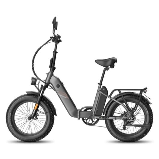 Bicicletta elettrica Fafrees FF20 Polar doppia batteria 48V 500W gomme 20x4.0 alluminio pieghevole