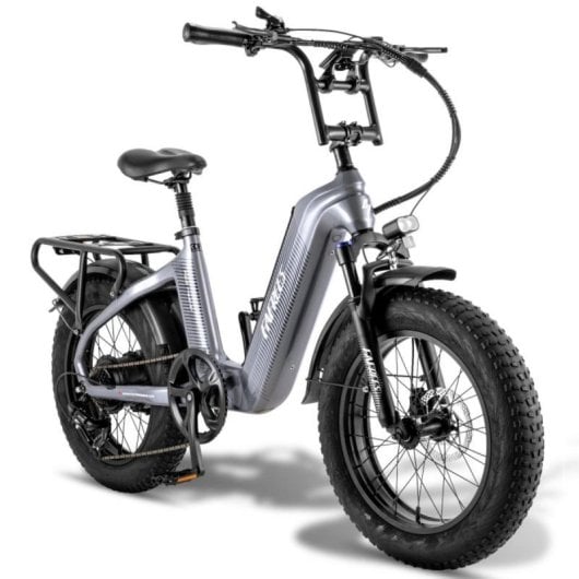 Bicicleta Elétrica FAFREES F20 Master fibra de carbono 500W 48V 22,5Ah LCD travões hidráulicos