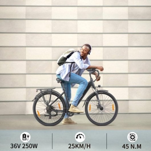 Elektrofahrrad TTGO HZ-28ST 36V 250W LCD Shimano 7-Gang 700C Scheibenbremse